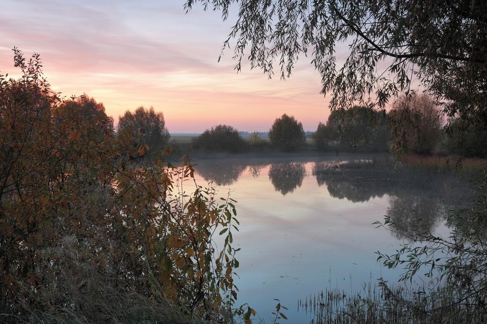 Пробуждение