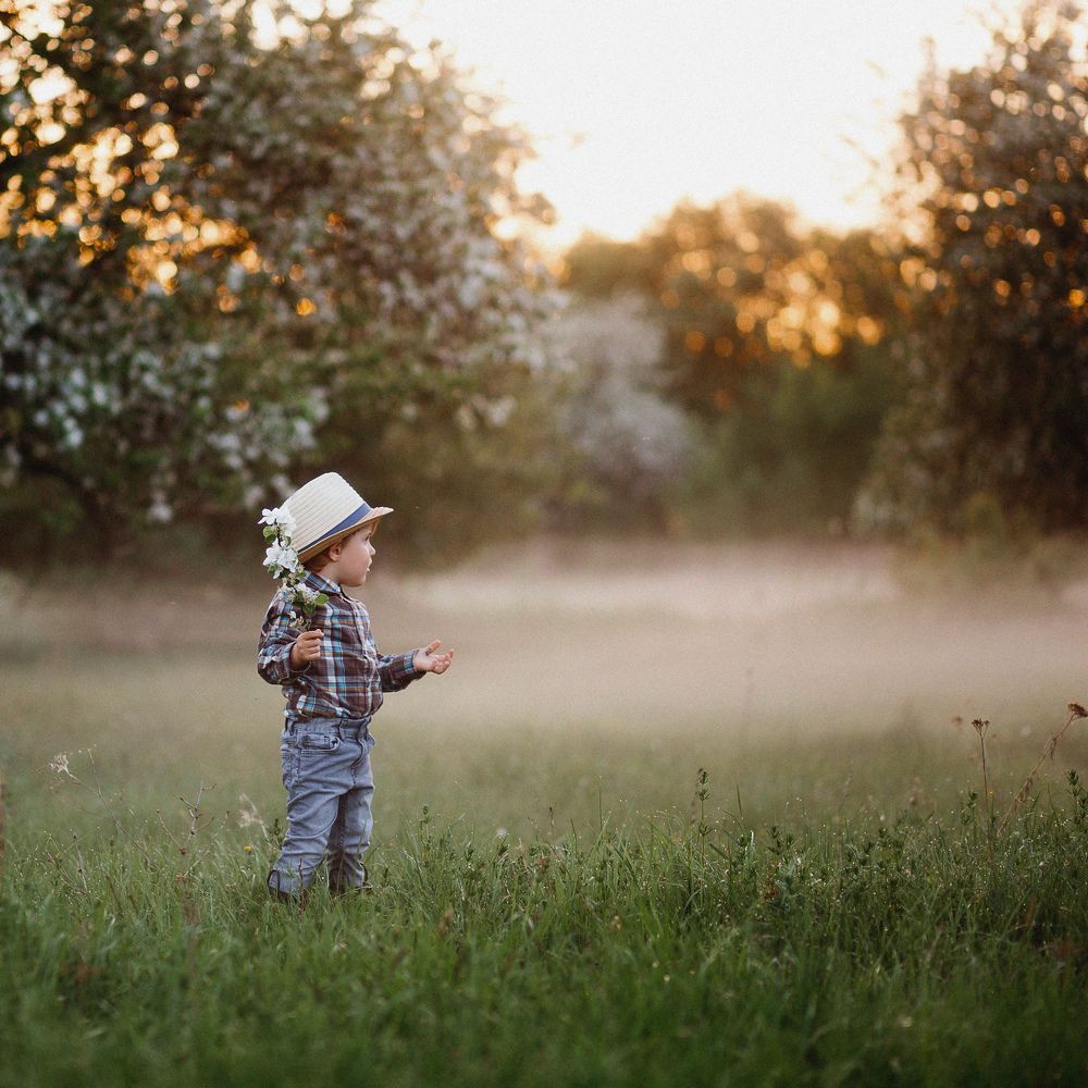 Однажды майским вечером