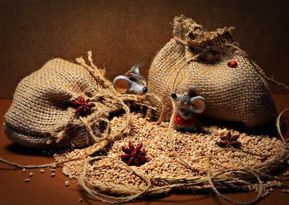 Photograph by Bocse Angela - Codrina