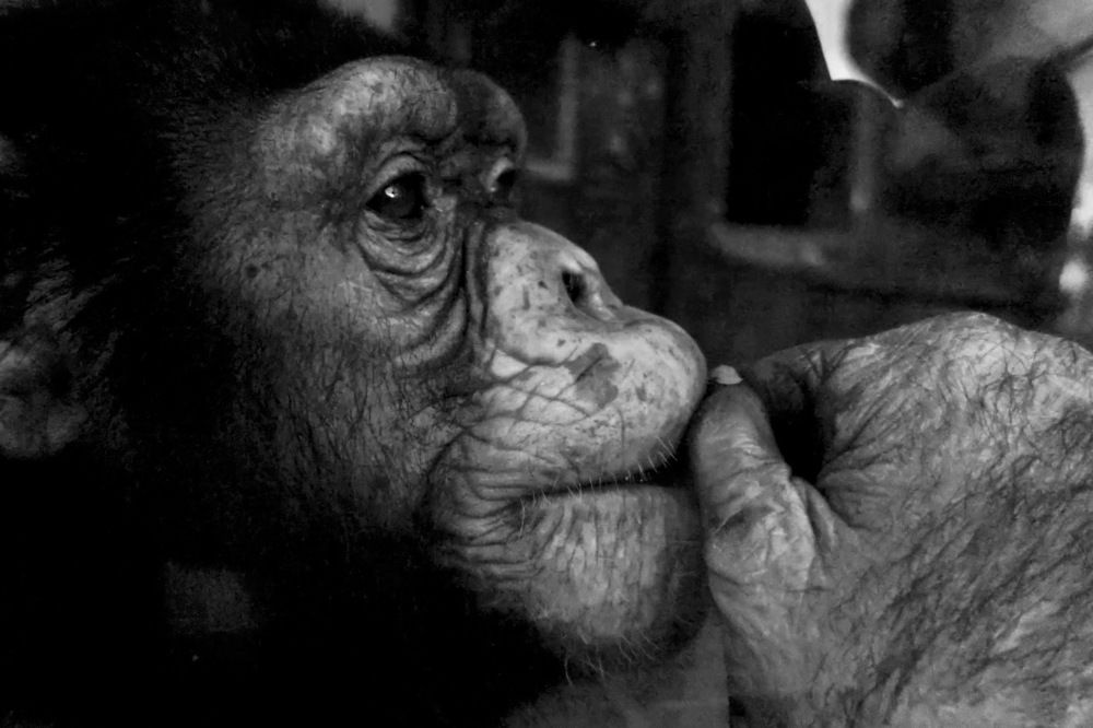 грустные мысли