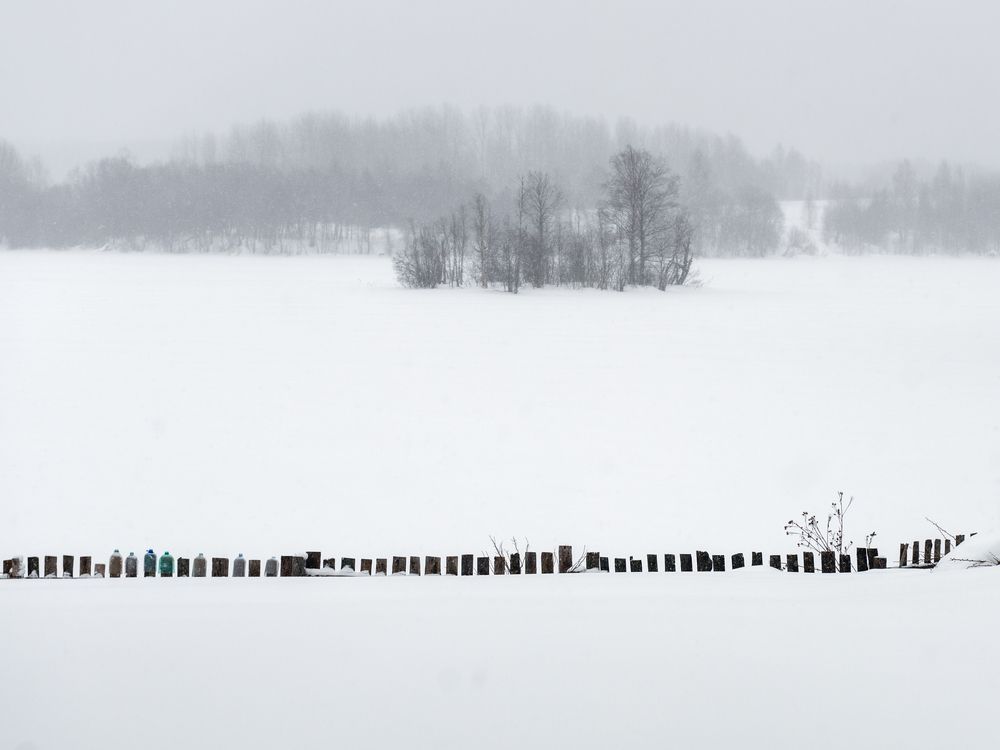 Про бутылочки на заборе на фоне тумана