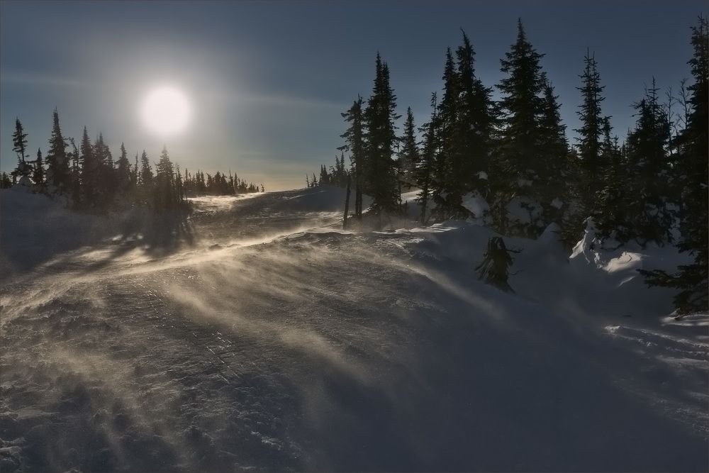 Февральская вьюга