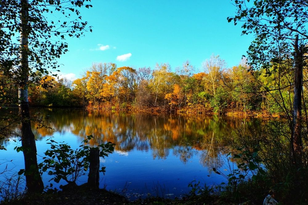 Осенний пруд