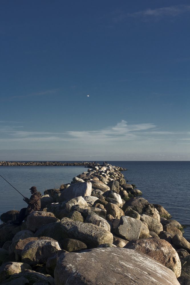 Свобода воды
