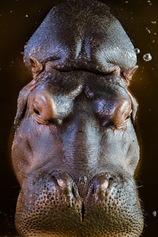 Спокойствие