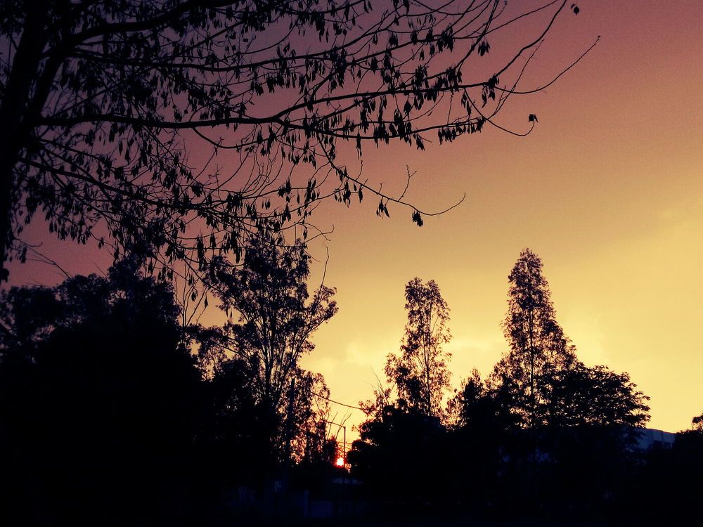 Beautiful Sunset