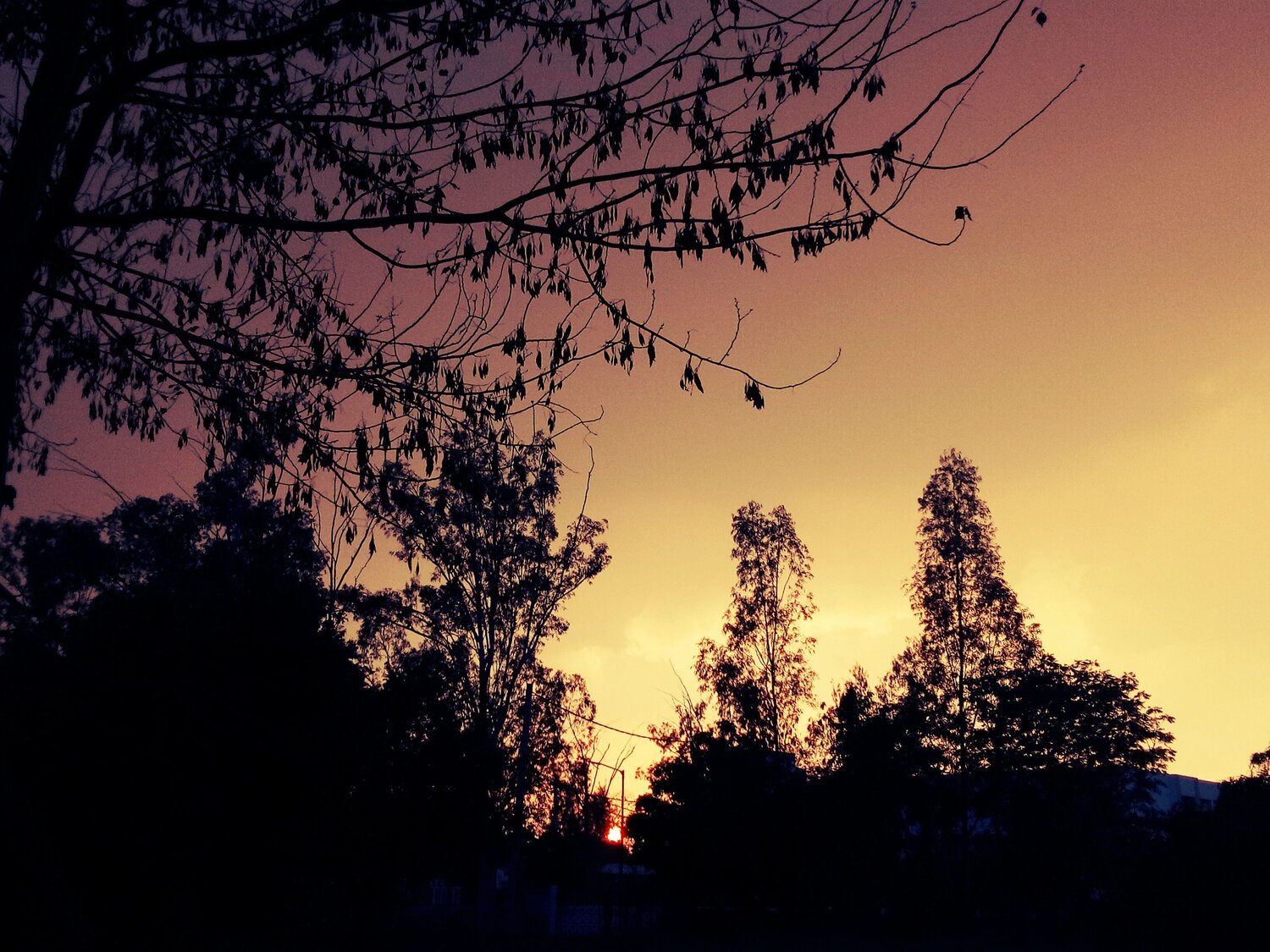 Beautiful Sunset