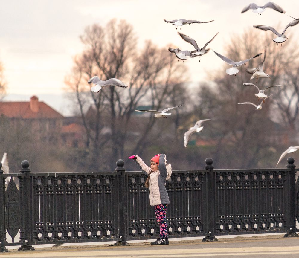 Девочка и птицы.