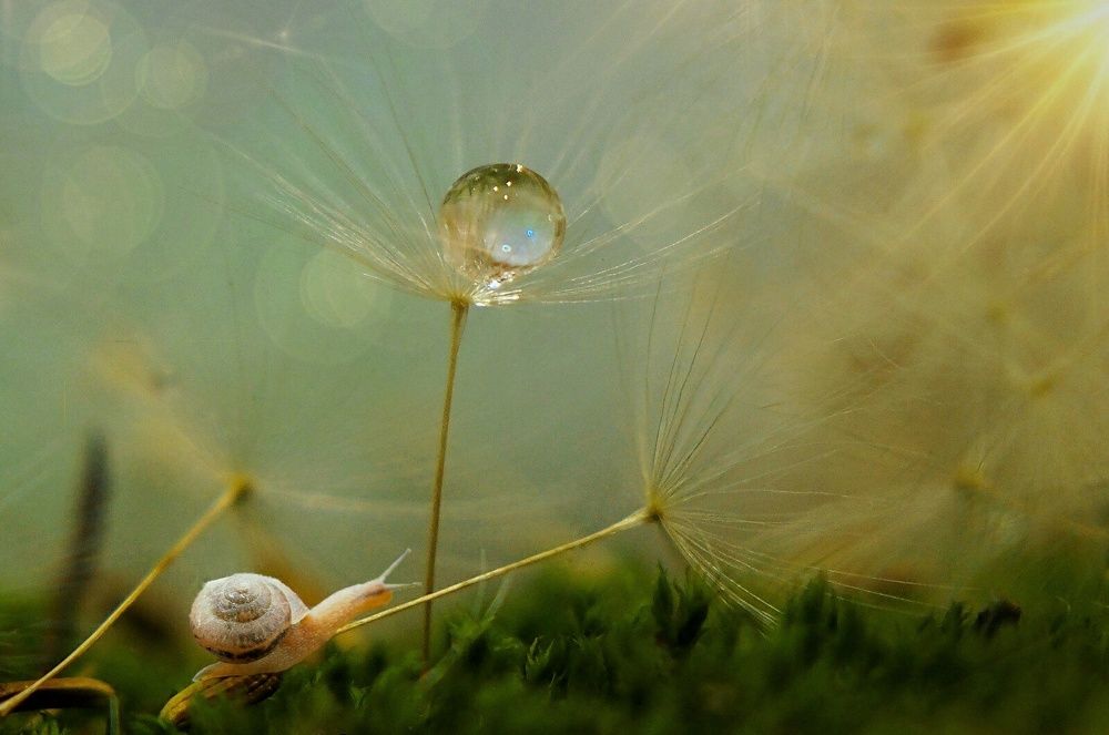 Загадочное приключение