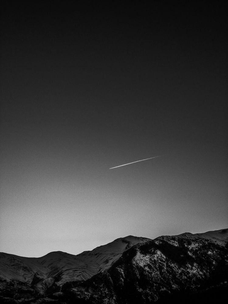 Flight