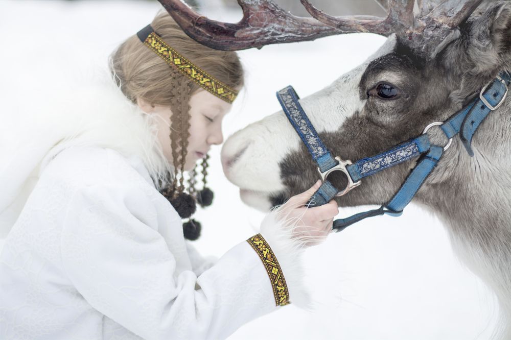 Пора в Арктику