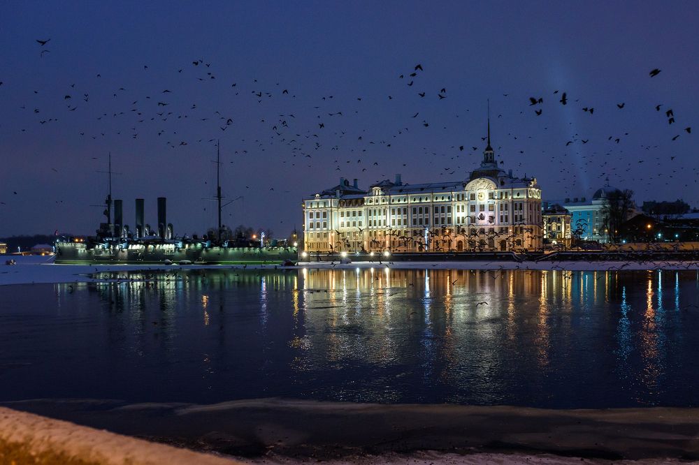 Восстание птиц