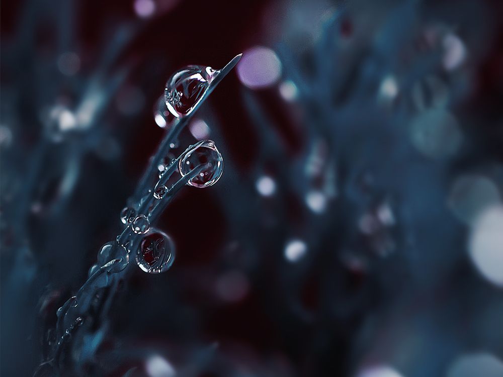 Photograph by Юлиана Джус