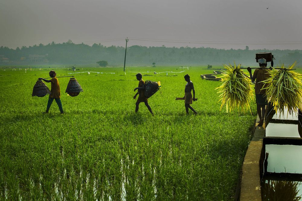 Photograph by Nazar Edapal