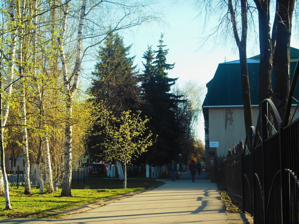 Весна около школы.