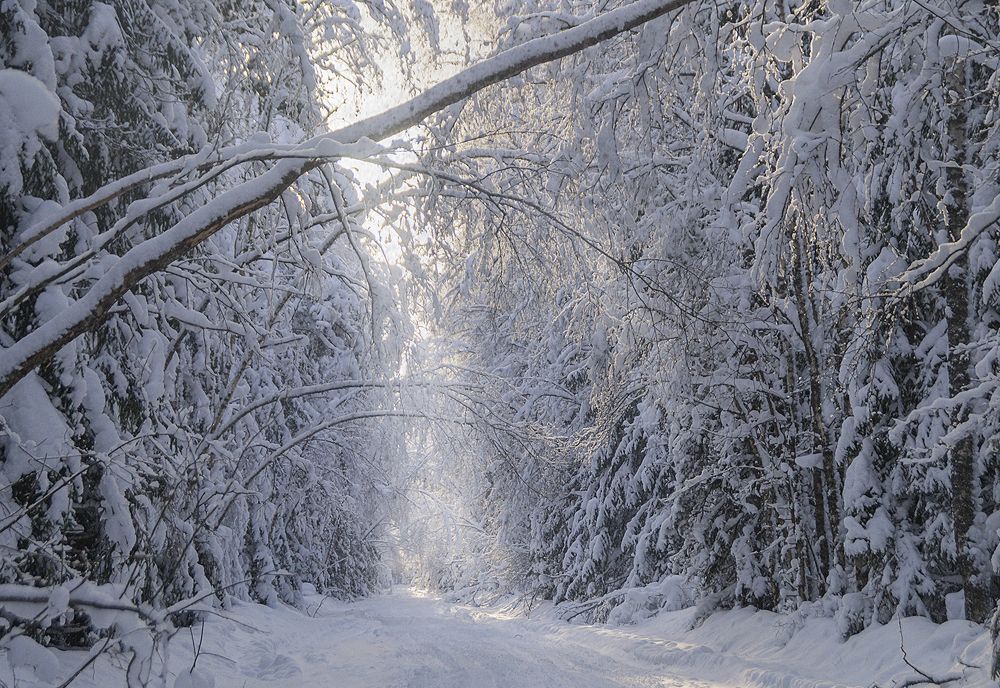 К Снежной Королеве в гости