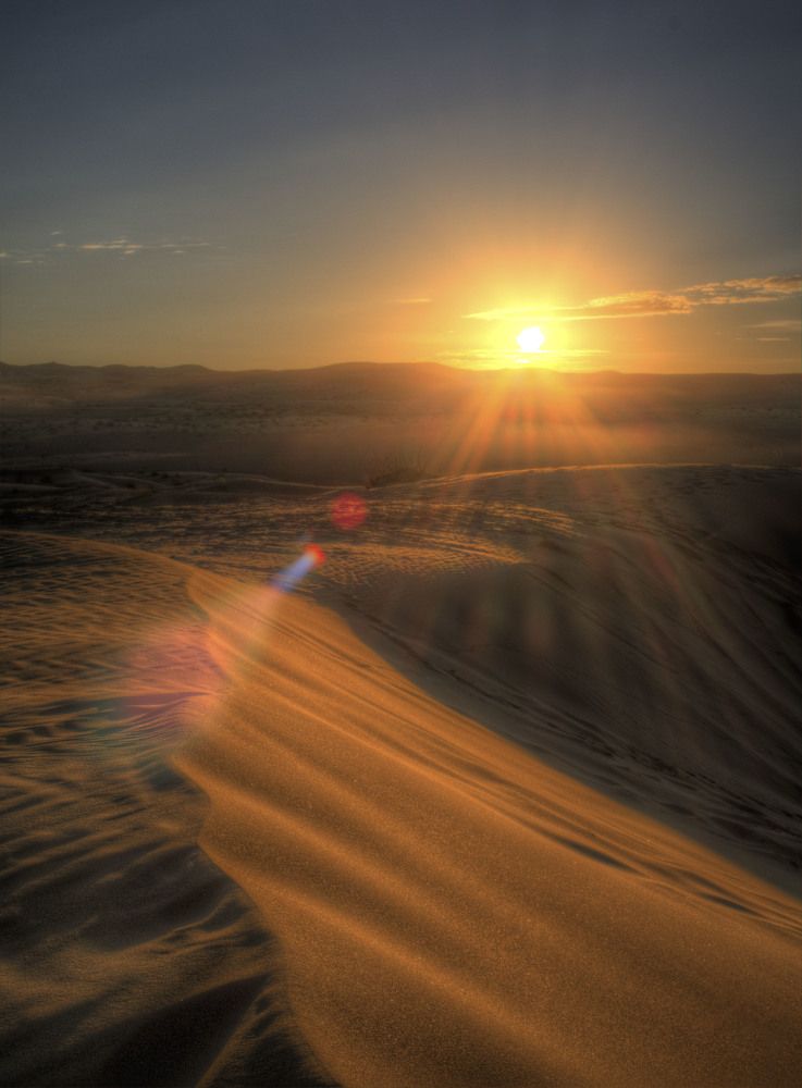Sunrise in Desert