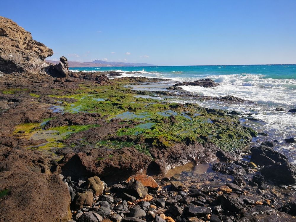 Fuerteventura landscape