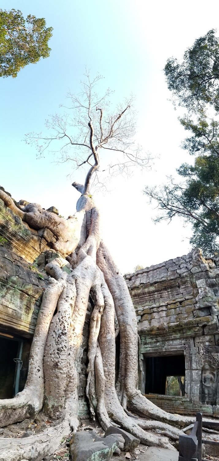 Angkor Wat Siam Reap Cambodia