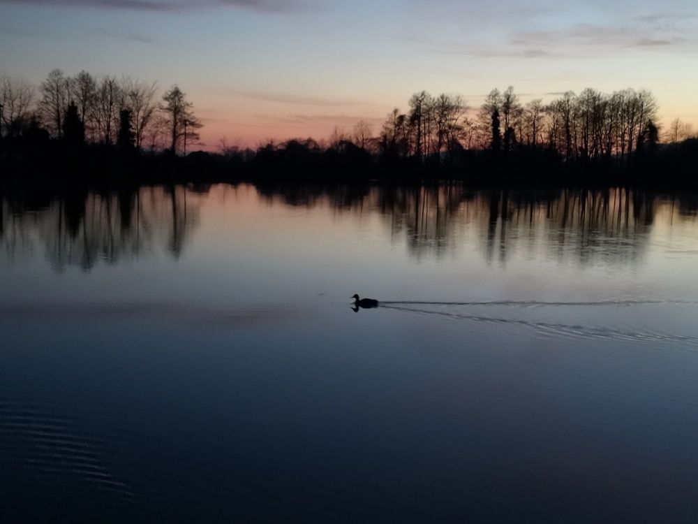 Вечер на озере