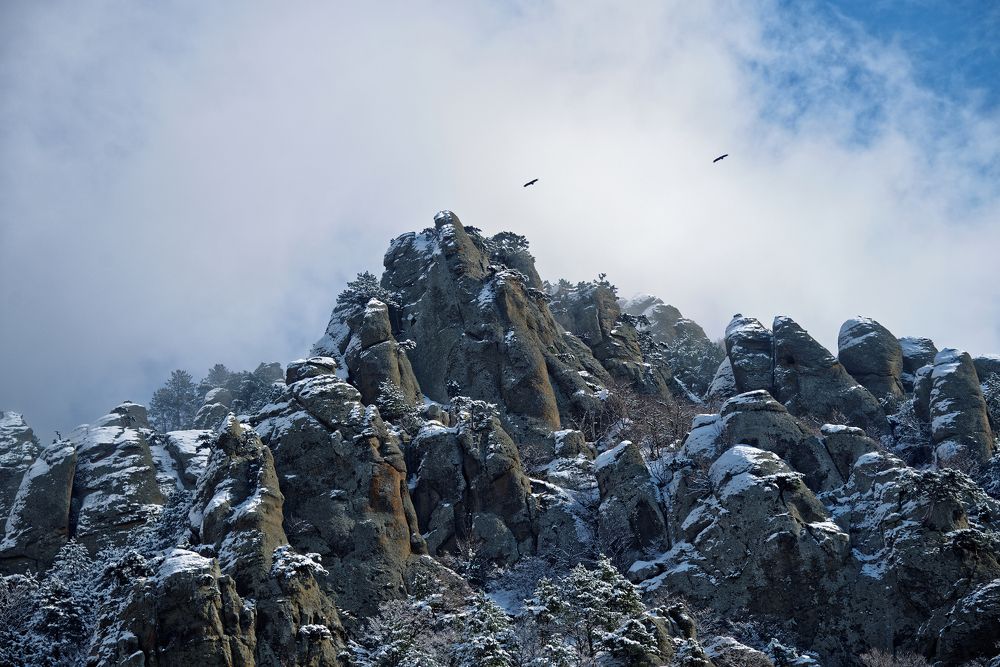 Крым. г. Демерджи.