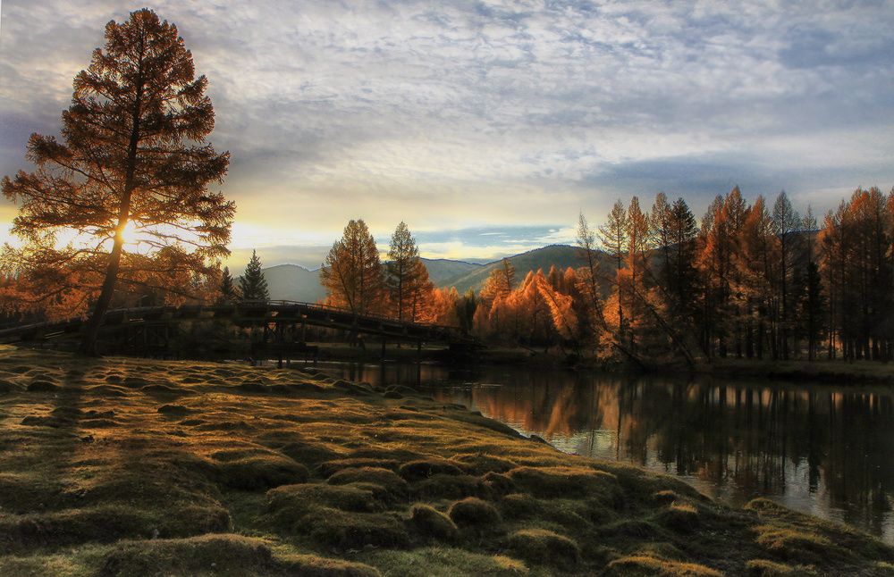 Утро в Беляшах