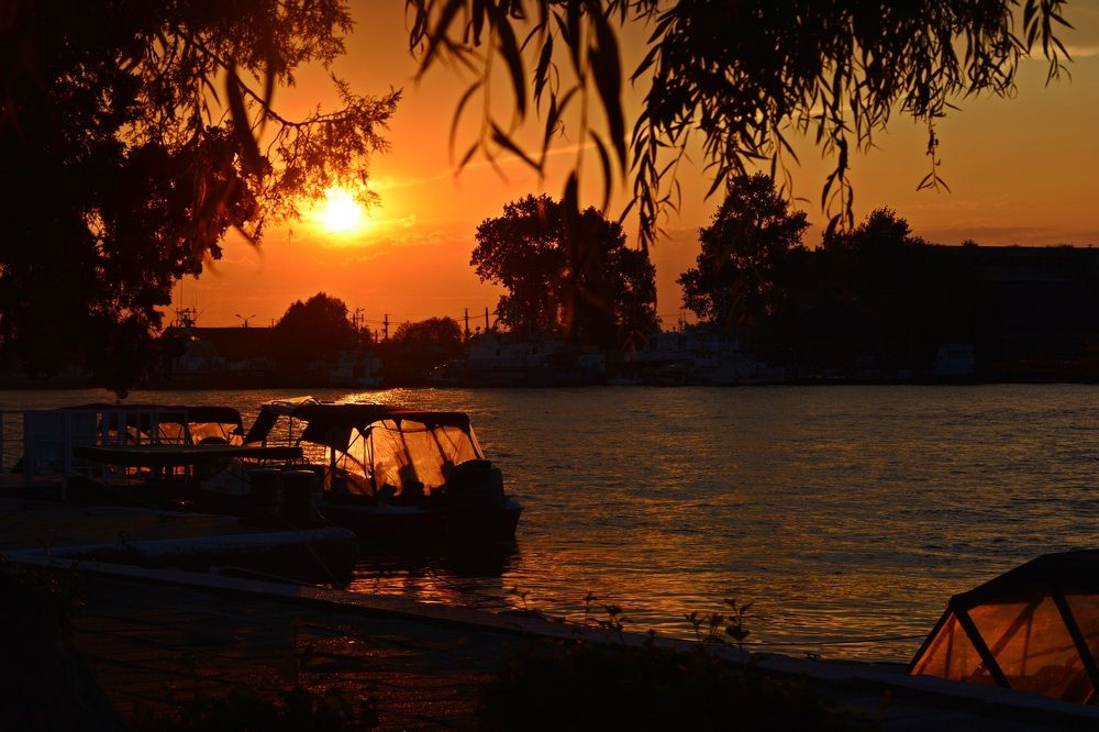 Photograph by Bocse Angela - Codrina