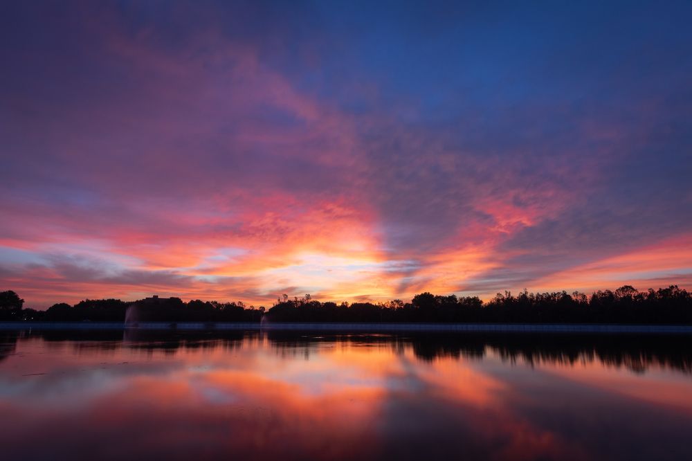 Amazing Dawn