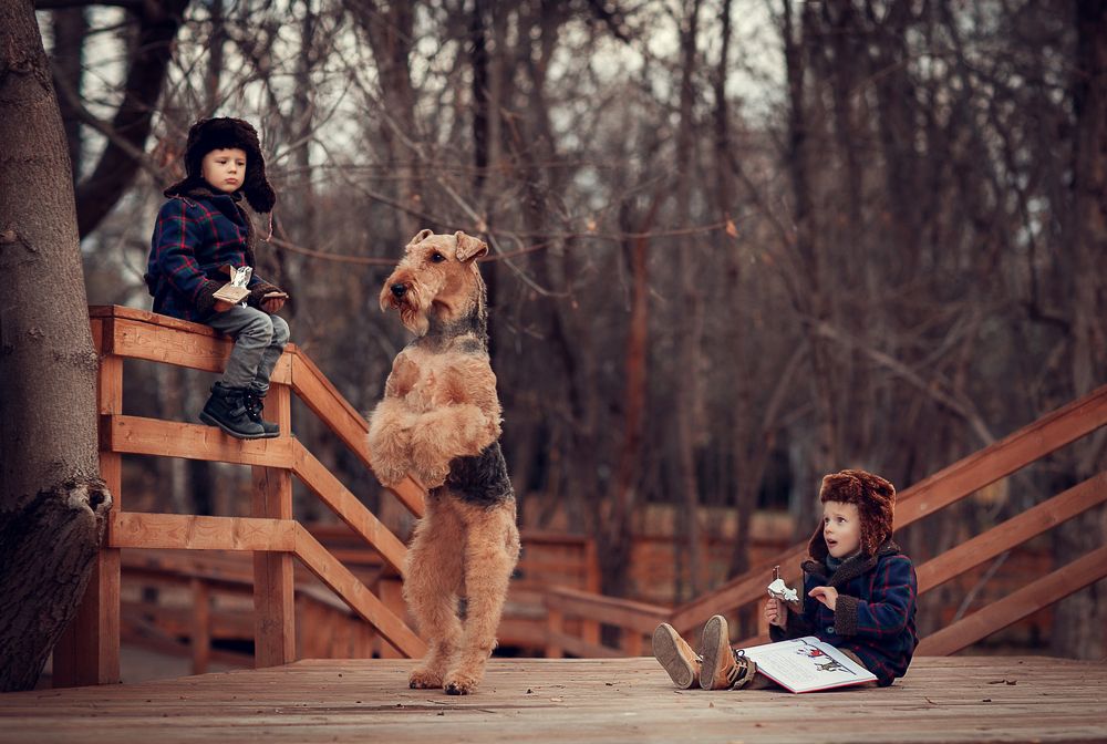 Приключения Электроников