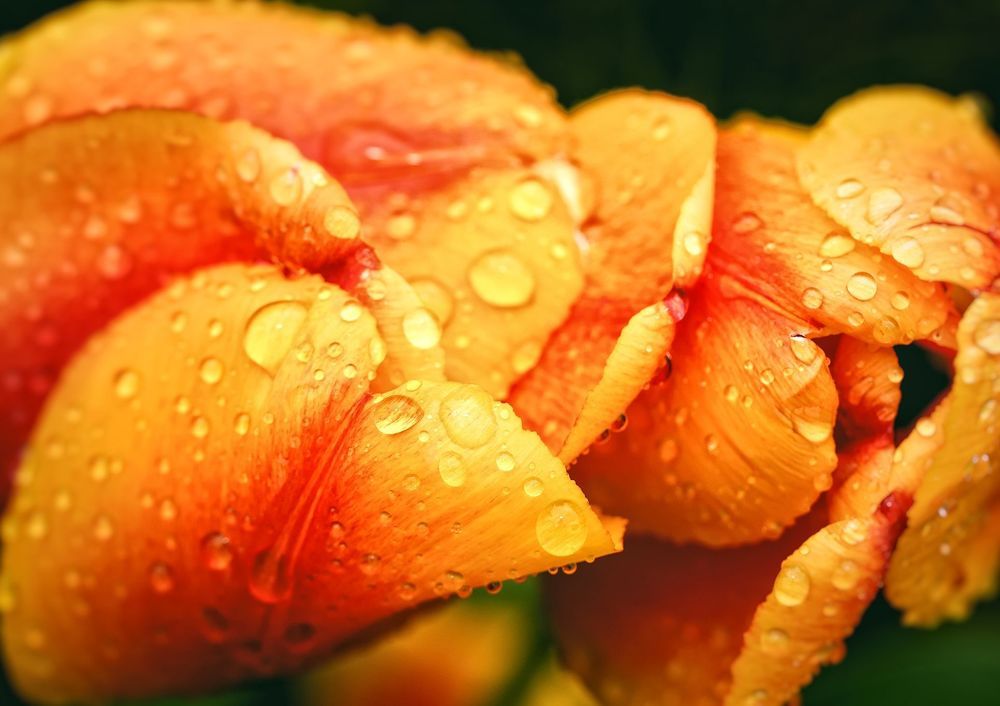 Photograph by Константин Чернуцкий