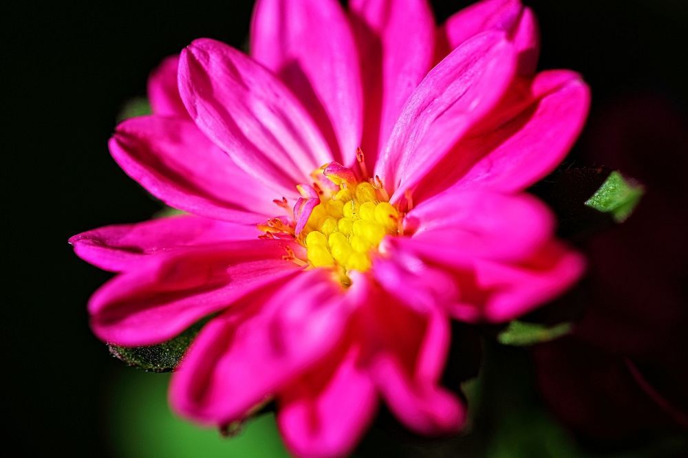 Photograph by Константин Чернуцкий