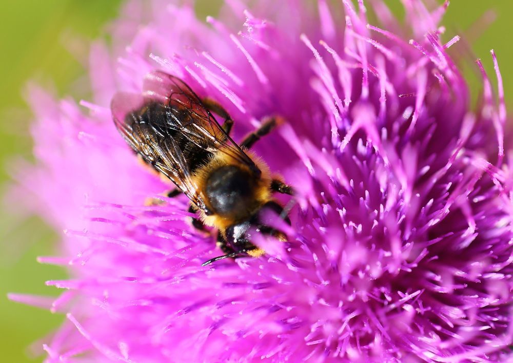 Photograph by Константин Чернуцкий