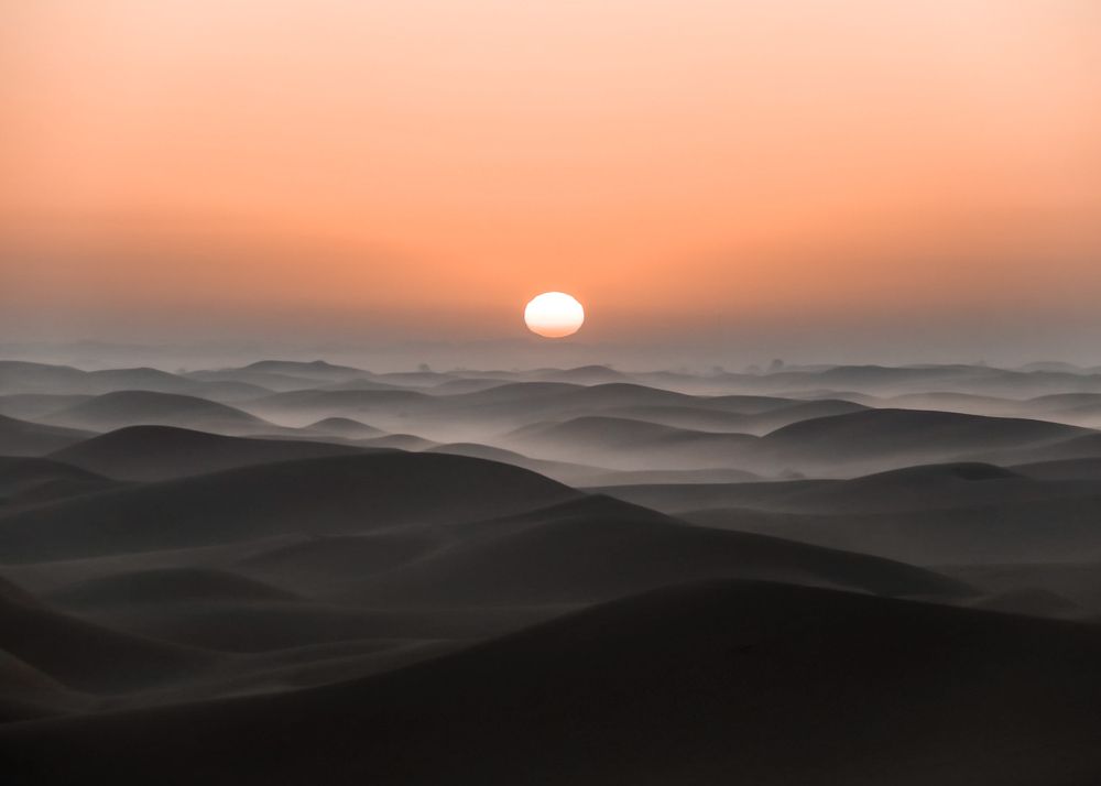 Desert Waves
