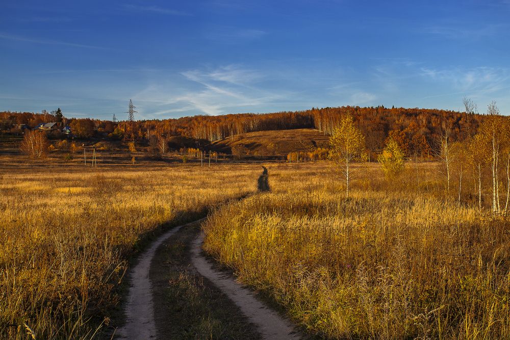 Осенняя пастораль