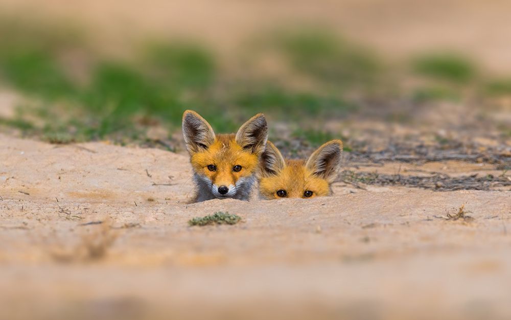 Lovely brother sister