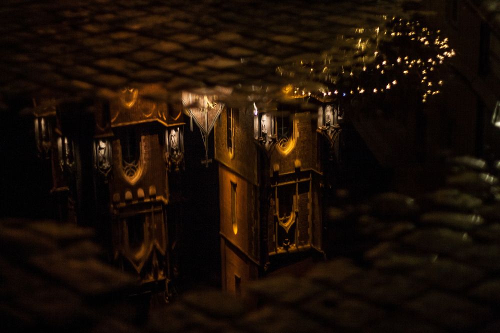 Cathedral in a puddle