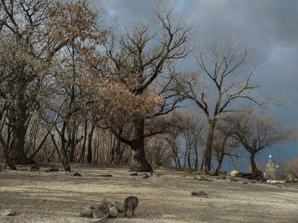 Photograph by Maria Berci