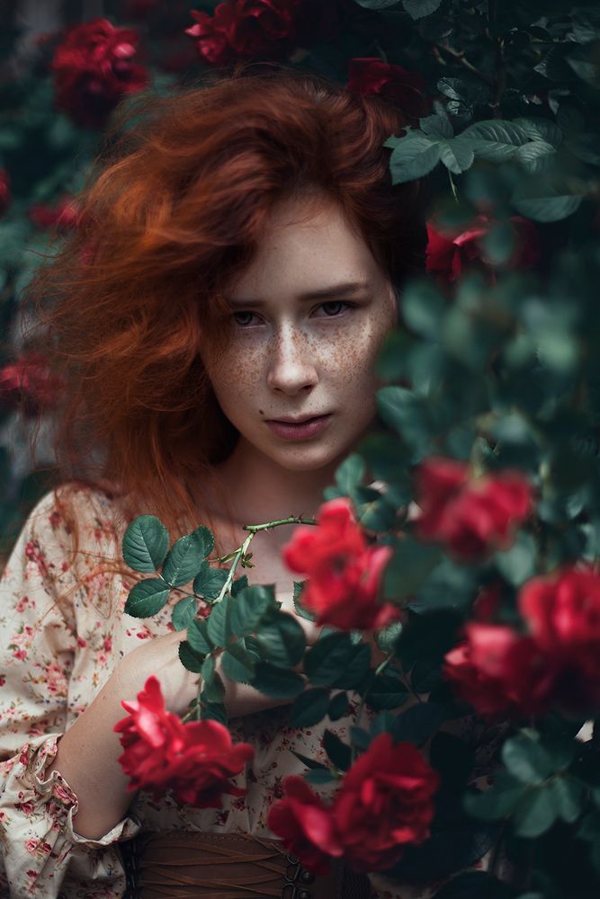 Photograph by Руслан Бабусенко