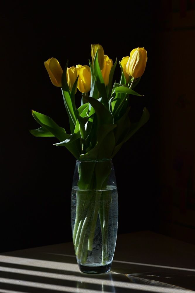 Весеннее солнышко