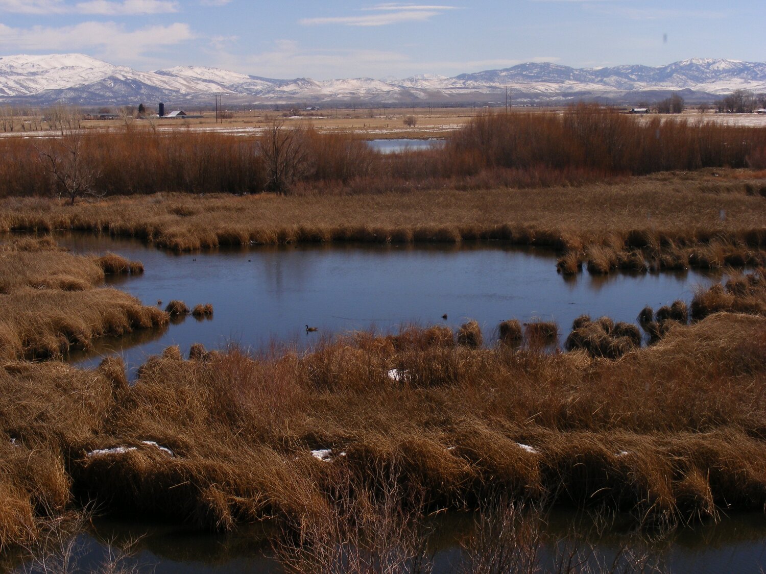Wetlands