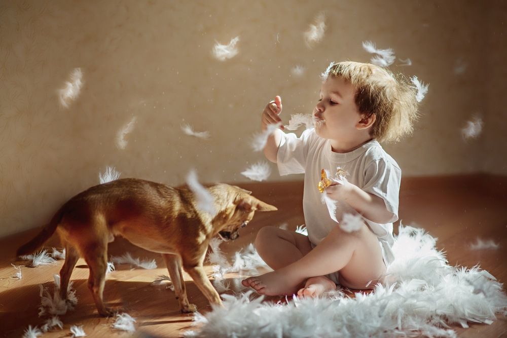 Photograph by Стрелкова Мария