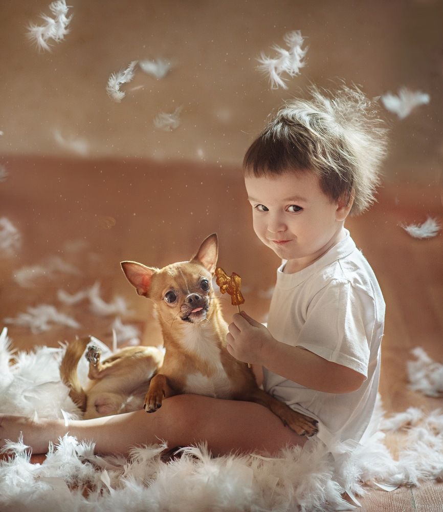 Чудо в перьях