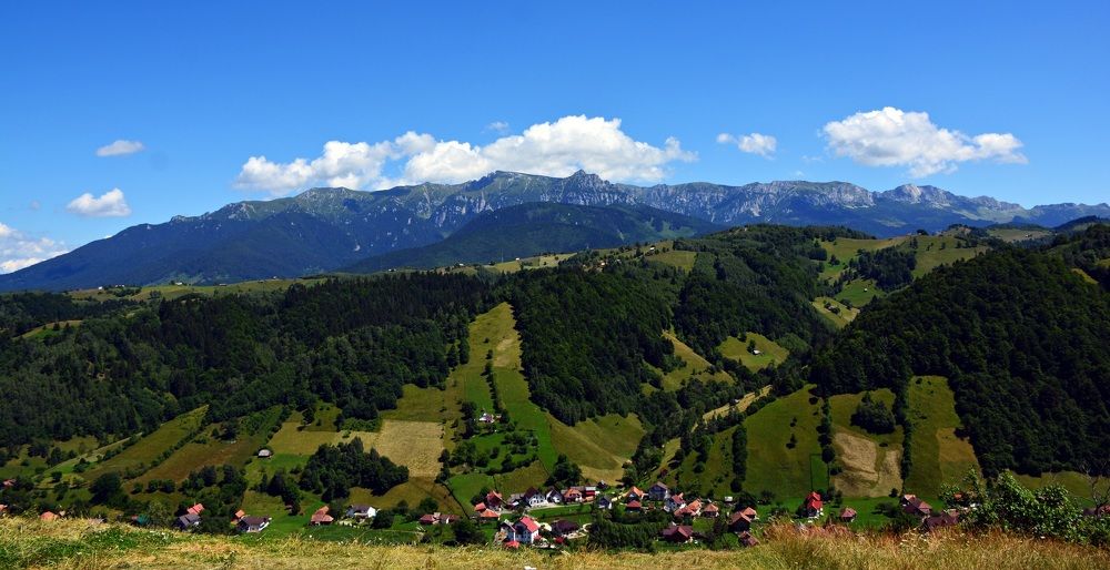 Photograph by Bocse Angela - Codrina