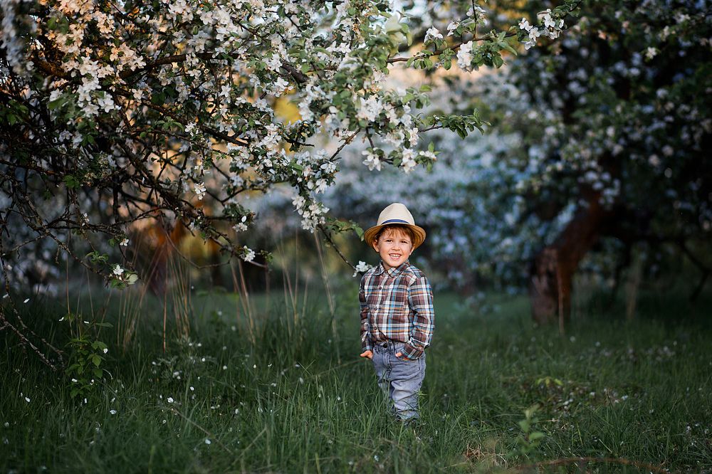 В яблоневом саду