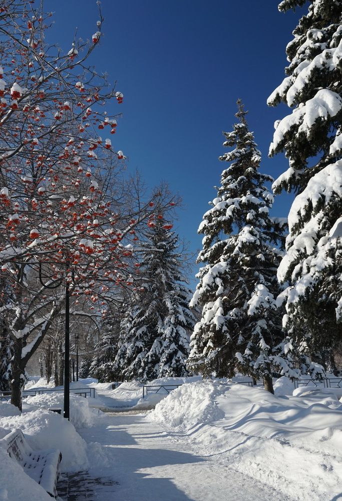 зима в городе