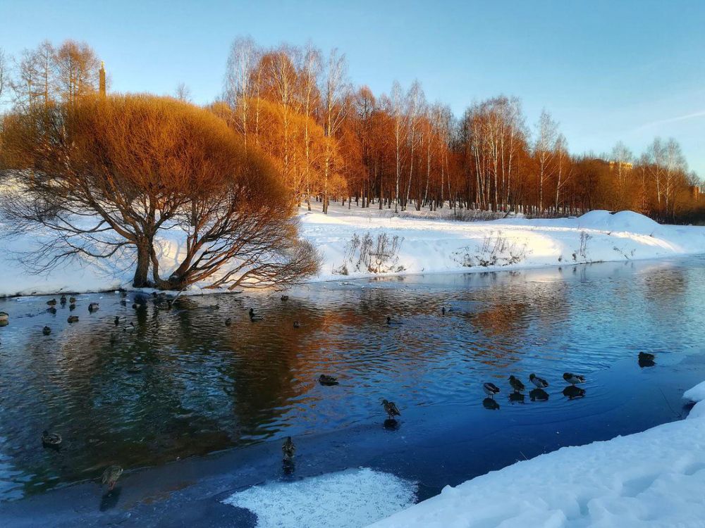 Приближение весны