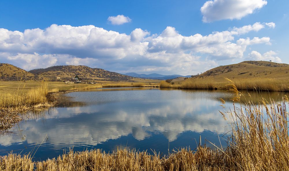 Photograph by Alex Kalpus