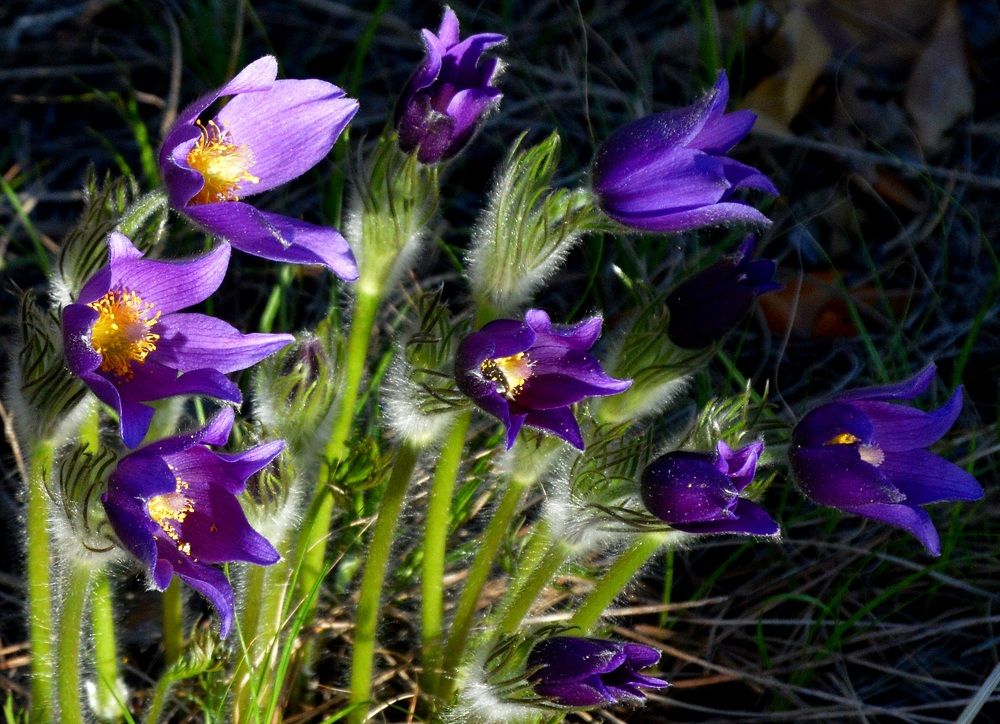 Фотография автора тимакова  нина