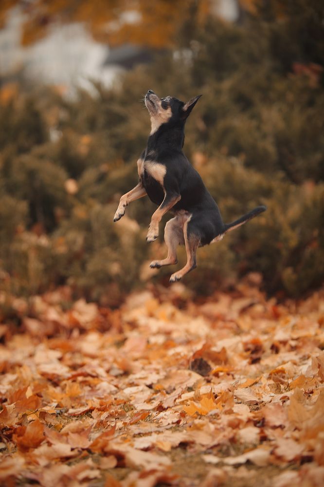 Photograph by Галина Ледок