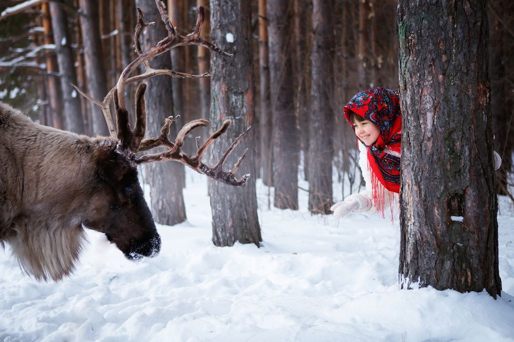Встреча с оленем